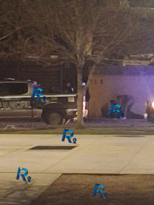 484402457_1104914884986351_641122853445504699_n.jpg