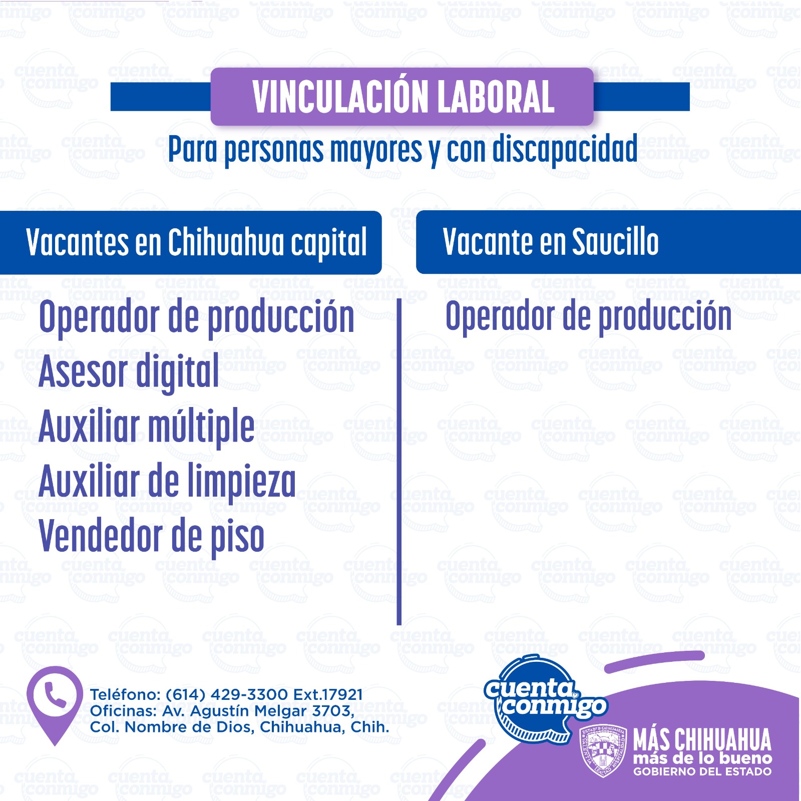 Imagen-de-WhatsApp-2025-03-11-a-las-12.09.21_e34b479f.jpg