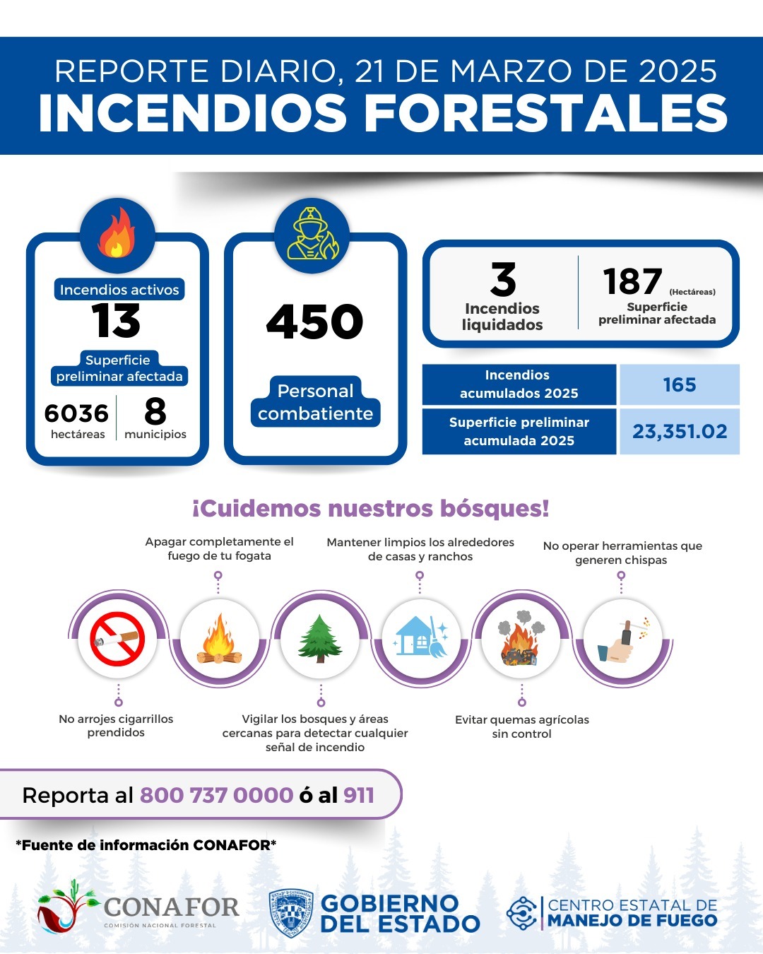 Imagen-de-WhatsApp-2025-03-21-a-las-10.39.38_0c166aa4.jpg