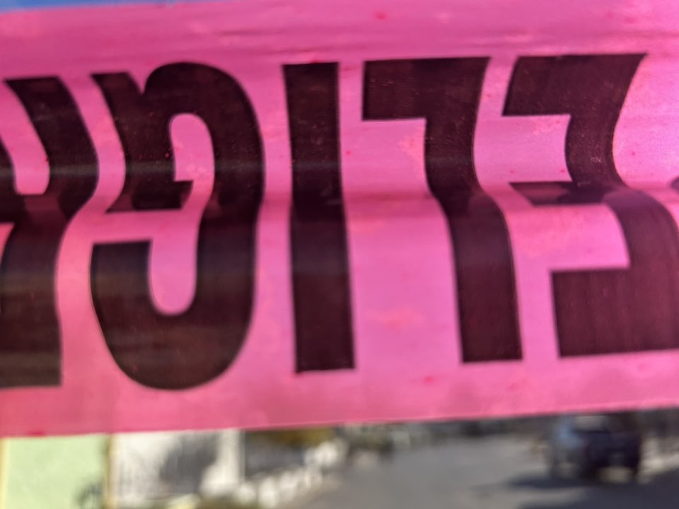 486843048_1225028569238502_3203579355537971748_n.jpg
