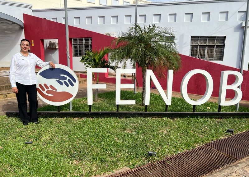 FENOB-2-800x570.jpeg