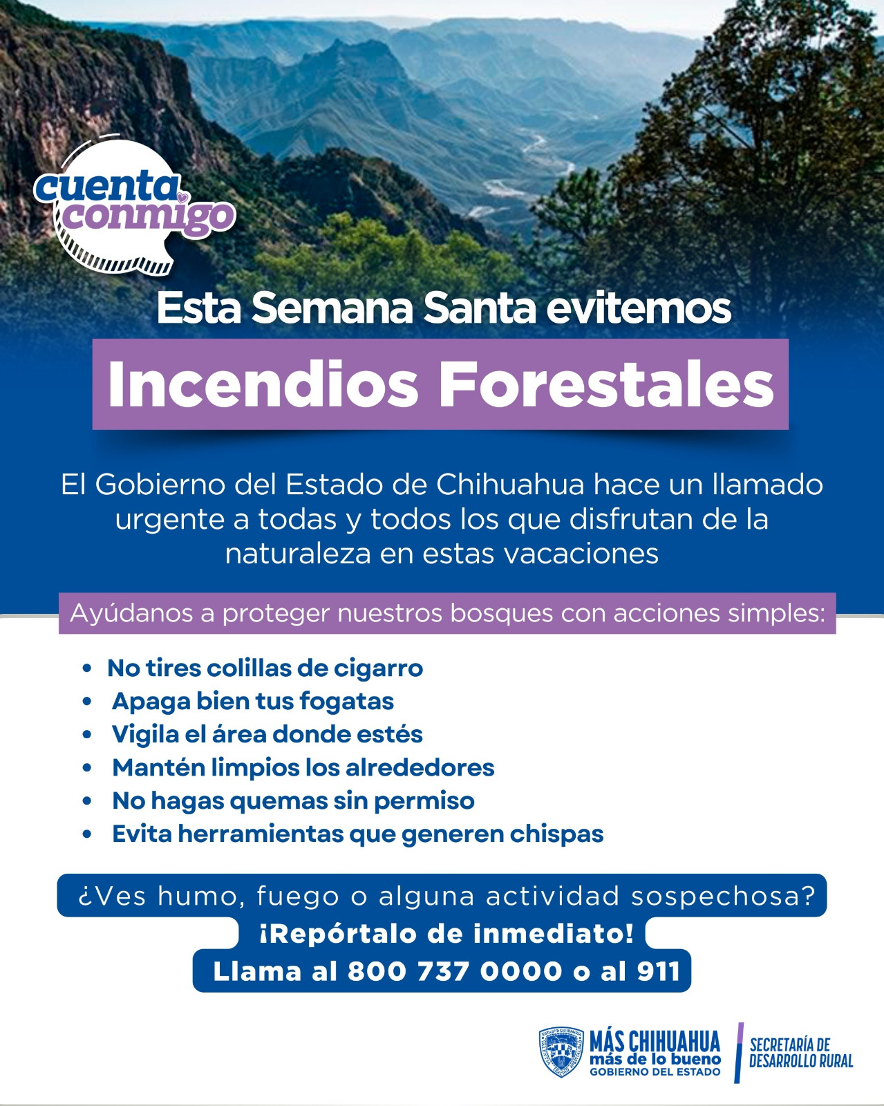 Imagen-de-WhatsApp-2025-04-16-a-las-10.21.41_01467984.jpg