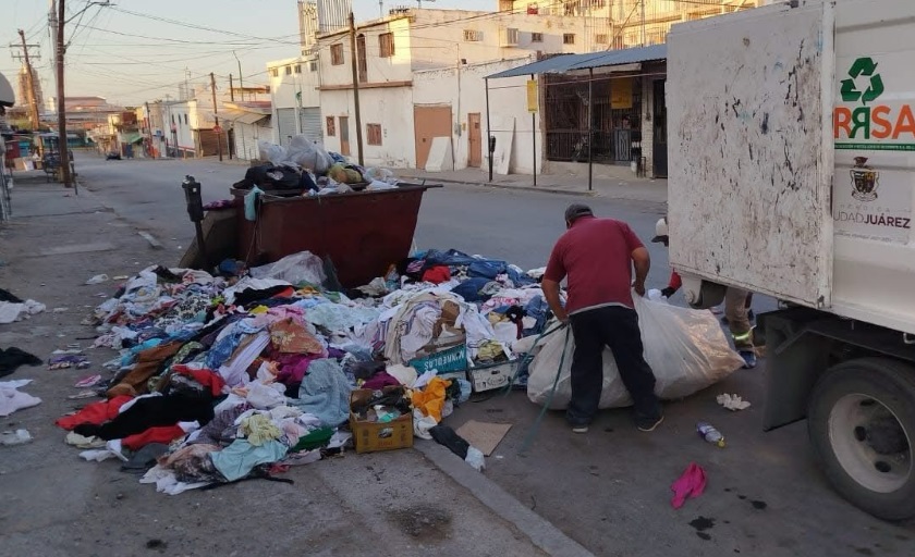 cochinos.jpg