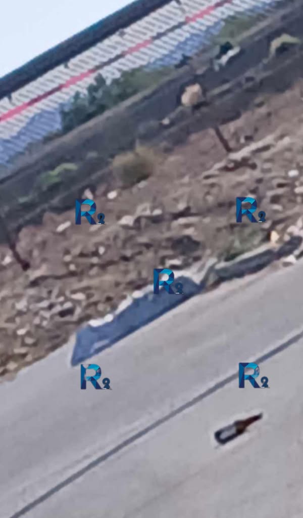 495691297_1146175347526971_5244998156991639671_n.jpg