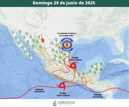 CCCaptura-de-pantalla-2025-06-29-082352.png