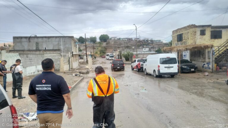 Imagen-de-WhatsApp-2025-06-25-a-las-11.02.23_c86484ea.jpg