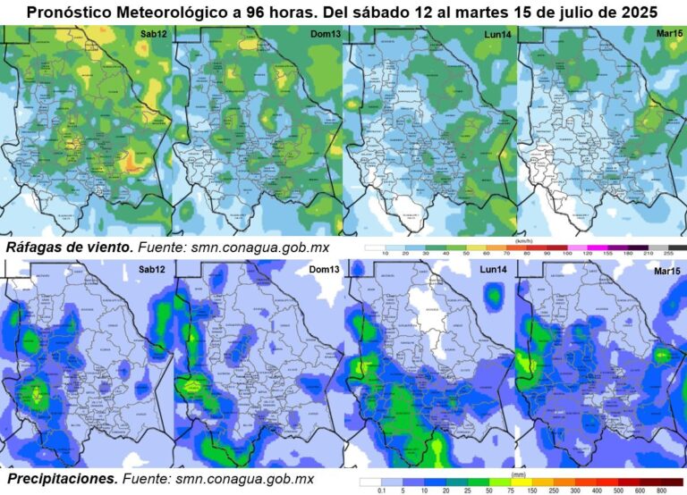 Imagen-de-WhatsApp-2025-07-12-a-las-11.50.03_72ca18ac.jpg