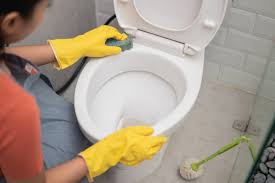 BAÑOLIMPIOVINAGRE.jpg