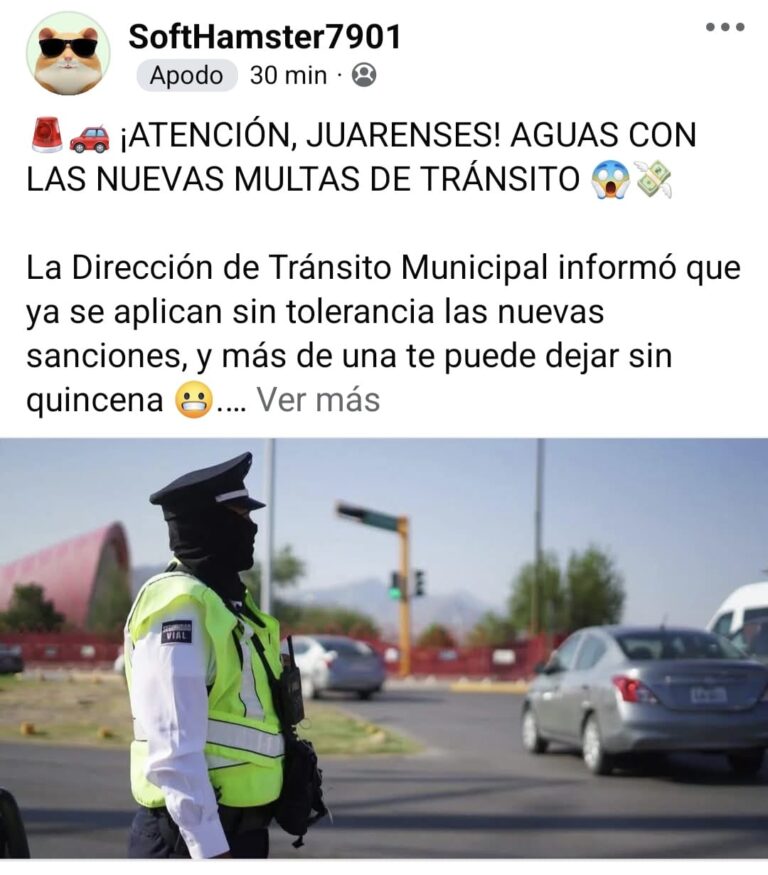 69124e41a8038__69124e41a8039.jpeg