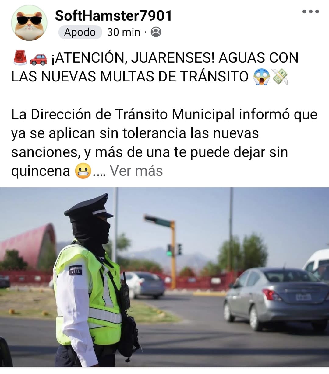 69124e41a8038__69124e41a8039.jpeg