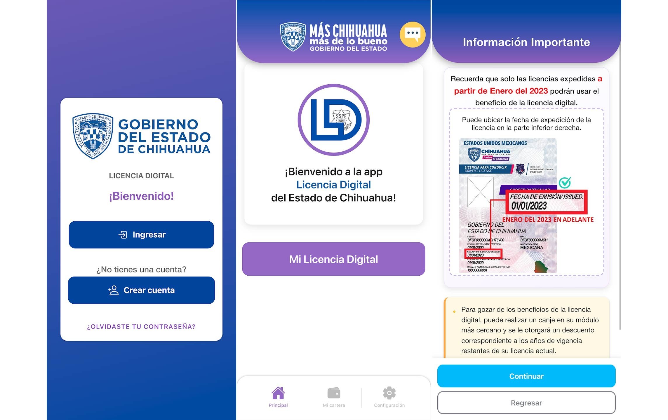 LICENCIADIGITALCHIHUAHUA.jpg