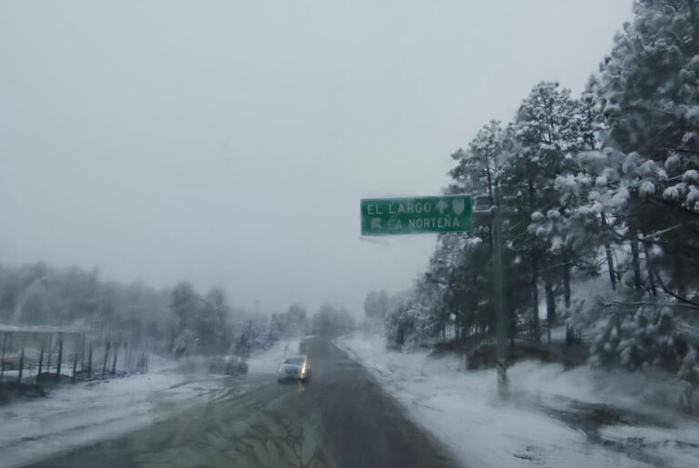 e8a1ec70-0a99-4fcd-ab42-2d2b431b362f.jpeg