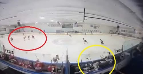 LTNS17681730076229675924.jpeg