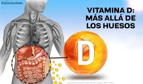 VITAMINADAYUDA.jpeg