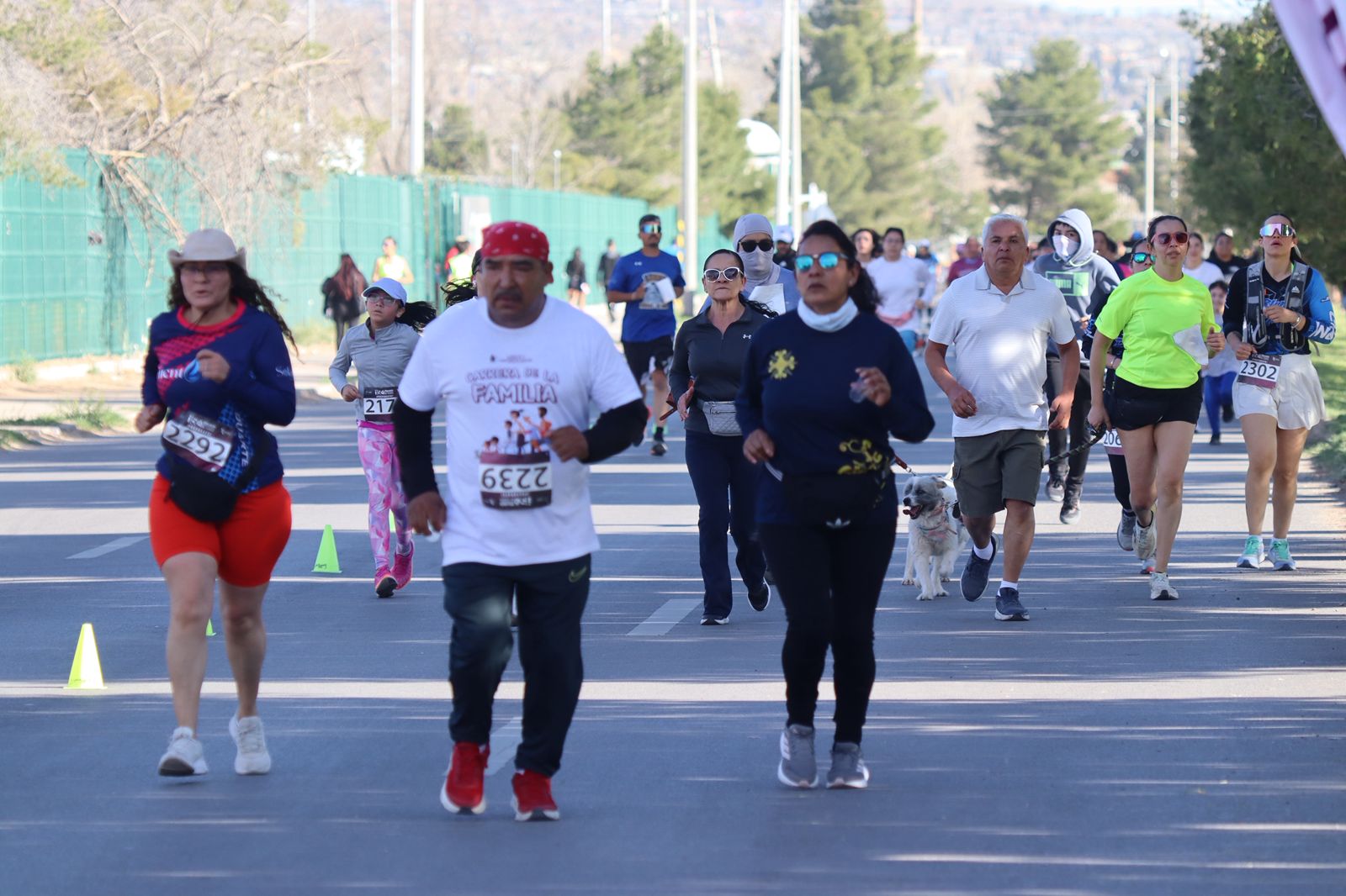 25a4bb35-bcaa-411b-817d-988b80b5586a.jpg