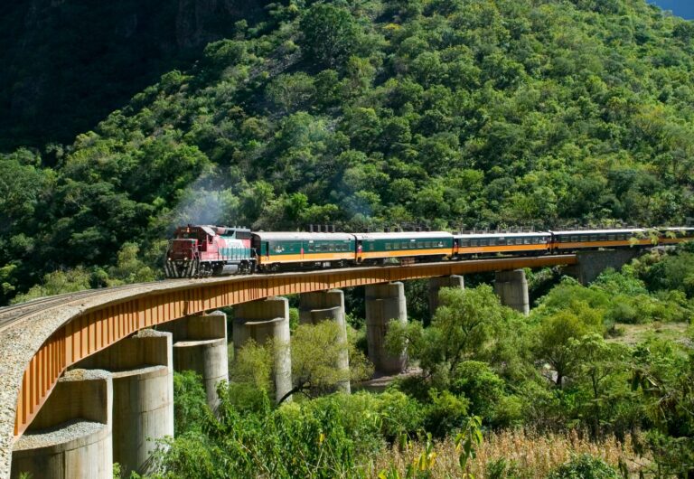 7be8c5e5-cae9-41b3-af5e-4ec14a236c56.jpeg