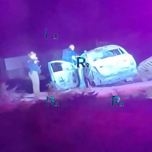 729058261_906165949167623_2129981470088092716_n.jpg