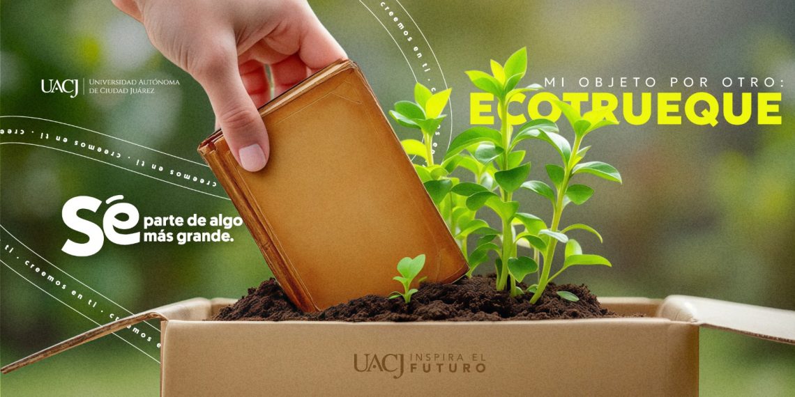 Ecotruque-1140x570.jpeg