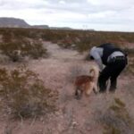 encontraron-cuerpos-en-carretera.jpg