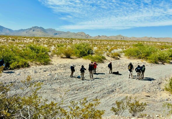 f338e441-e7b7-4479-a143-59c19790ba9c.jpeg