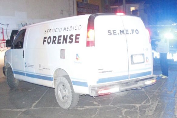 semefo-2.jpg