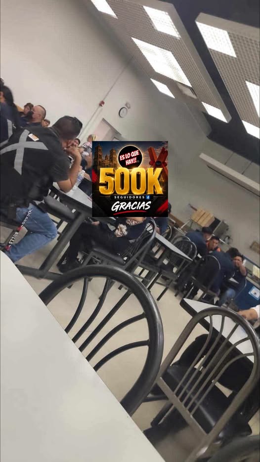733328594_2297354877669569_2455464800637890844_n.jpeg