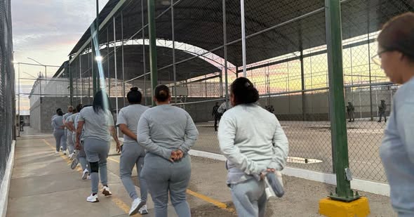 749223389_1700155574562095_1094818542166244354_n.jpeg