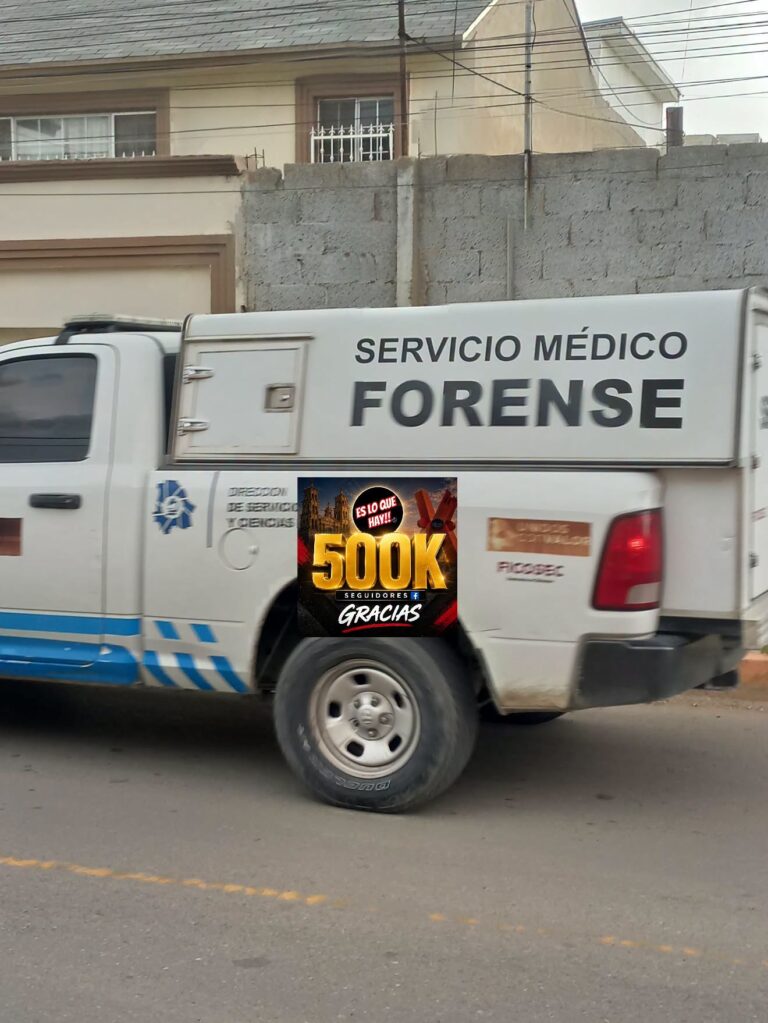 749300687_1036511365691967_4030070673771608635_n.jpeg