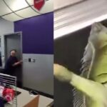 IGUANA.jpg