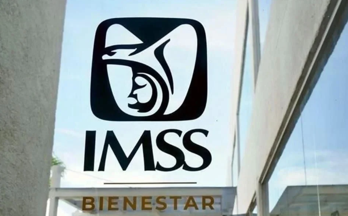 IMSS.png