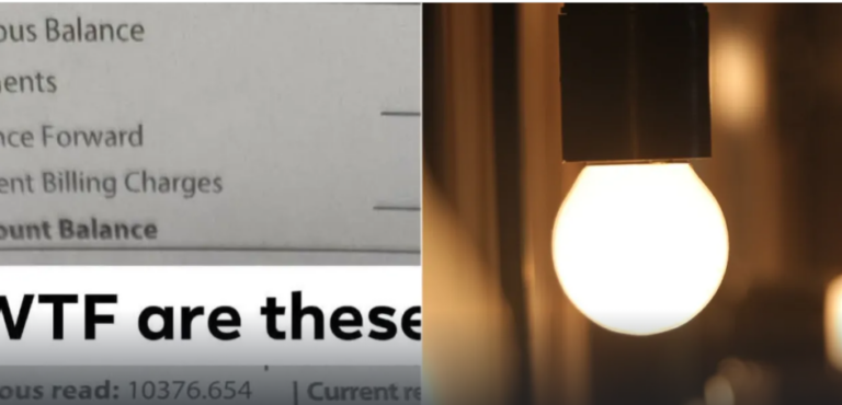 LUZ-PASO.png