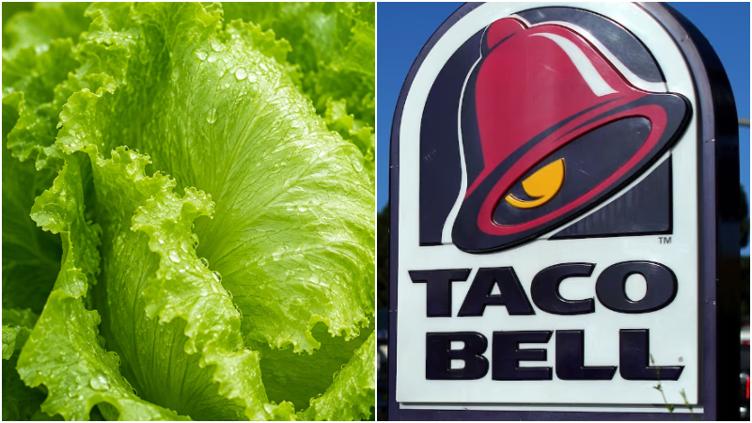 TACO-BELL.jpg