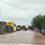 fee70052-4e26-4a0e-aae0-cf342c3b7780.jpeg
