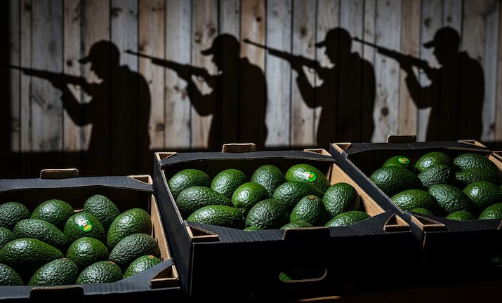 AGUACATECJNGEU.jpg