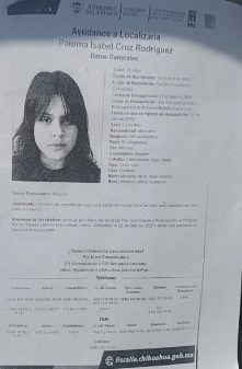 ALLISONCaptura-de-pantalla-2026-08-12-074147.png