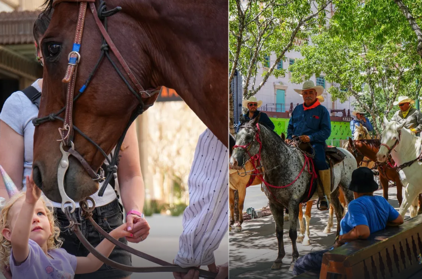 CABALLOS.png