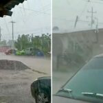 LLUVIA-AU.jpg