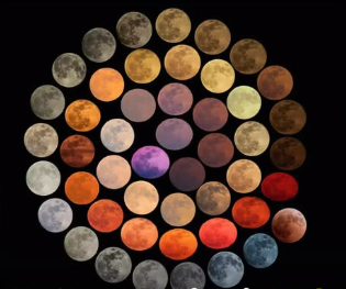 LUNACaptura-de-pantalla-2026-08-22-082114.png