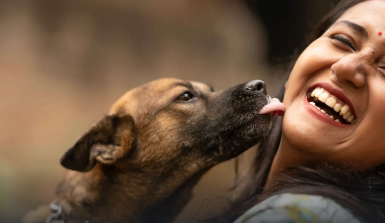 PERRITOS.png