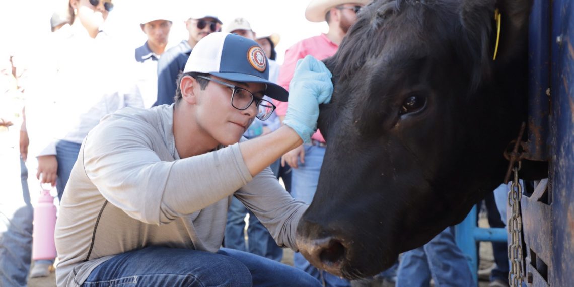 RANCHO-ESCUELA-GUSANO-BARRENADOR89-1140x570.jpg