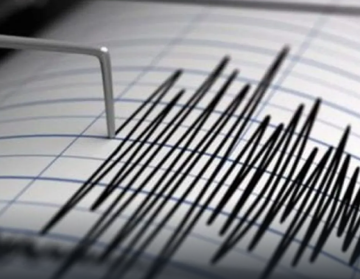 SISMO-M.png