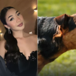 abelito.png