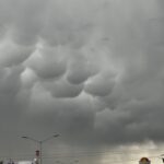 592ba075-73ed-4c28-a751-eb4568bdb779.jpeg