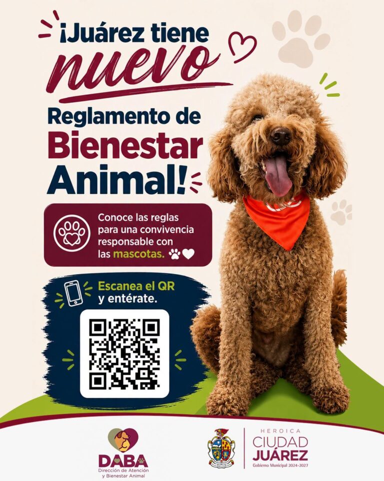 6a9888efcf799__6a9888efcf79a.jpeg
