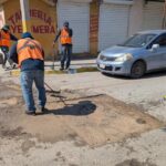 BACHES.jpg