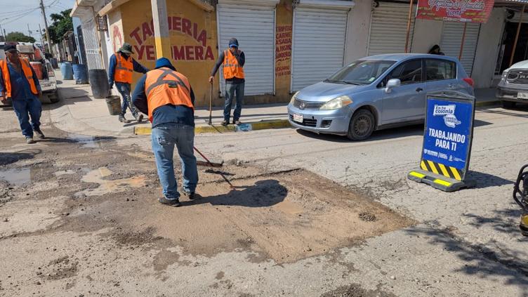 BACHES.jpg