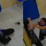 BRASI.jpg