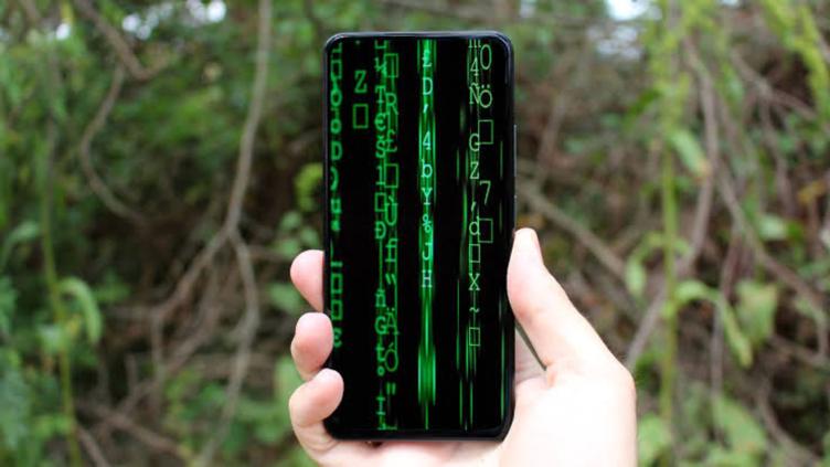 CELU.jpg