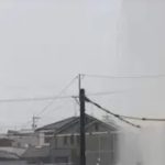 LUVIA.png