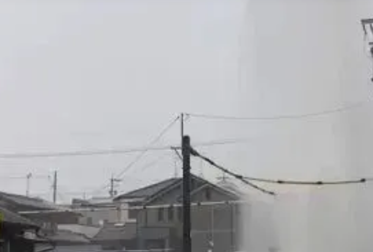 LUVIA.png